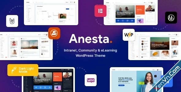 Anesta - Intranet, Extranet, Community and BuddyPress WordPress Theme.webp