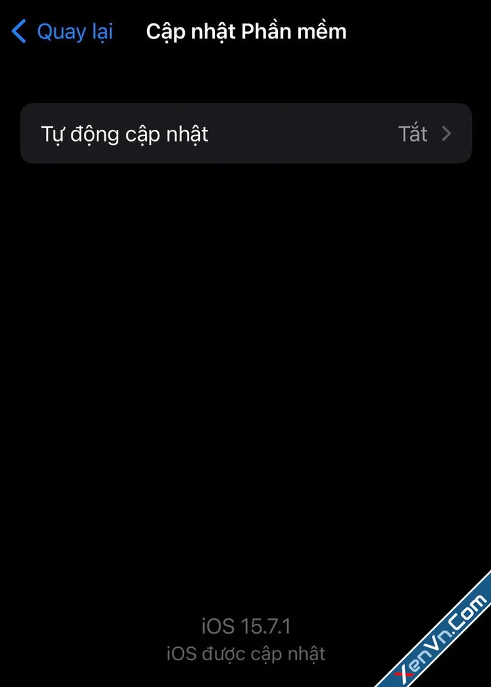 Block iOS Update Notifications on iPhone-3.webp