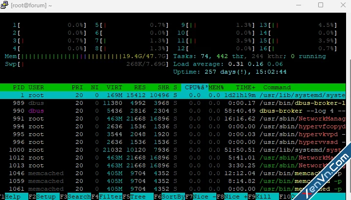 Can i run a smooth forum on this with 100 active users-1.webp