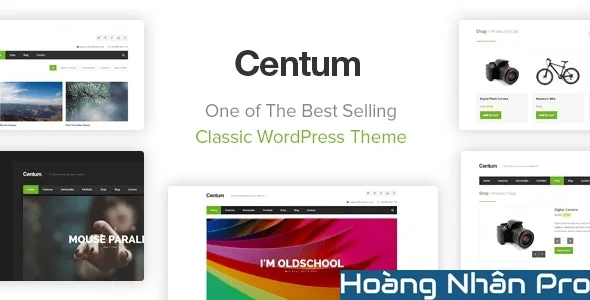 Centum - Responsive WordPress Theme.jpg