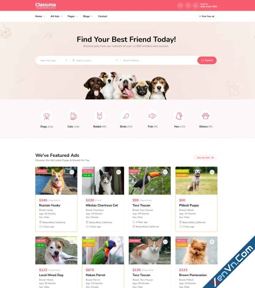 Classima - AI Classified Ads & Directory WordPress Theme-1.webp