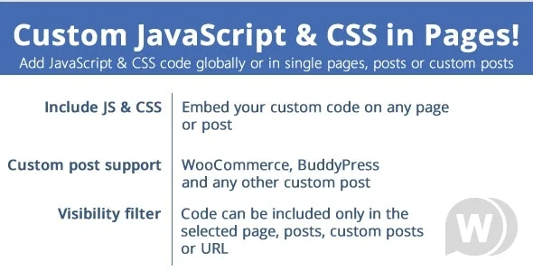 Custom JavaScript & CSS plugin in Pages - Wordpress.webp