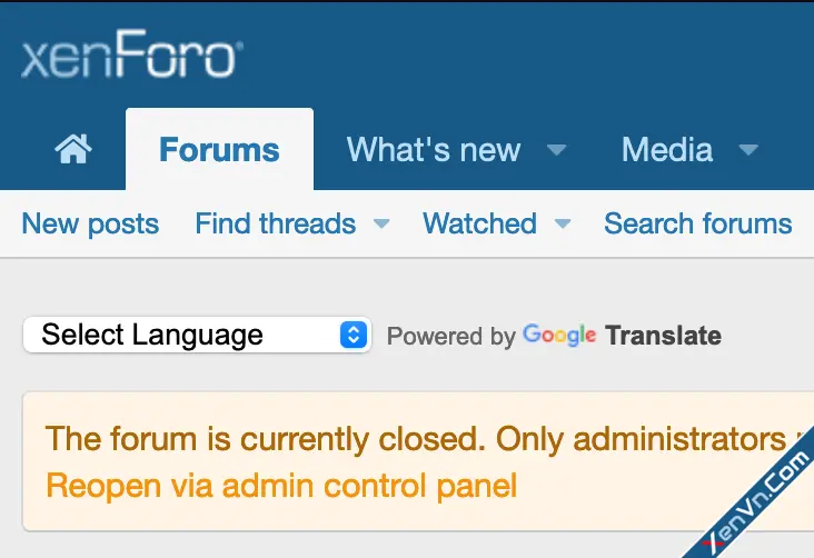 cXF Google Translate Forum-1.webp