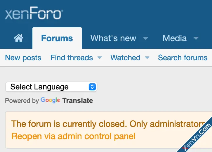 cXF Google Translate Forum-2.webp