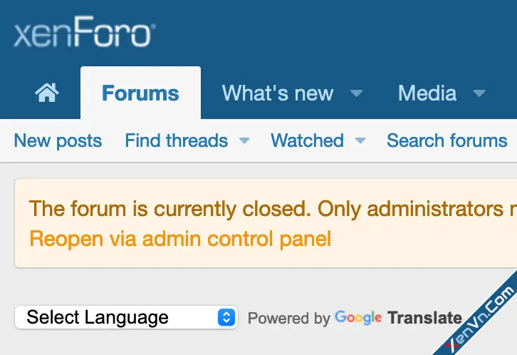 cXF Google Translate Forum-5.webp