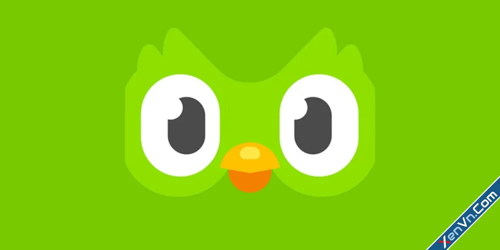 Duolingo - language lessons for Android - Ứng dụng học Tiếng Anh.jpg