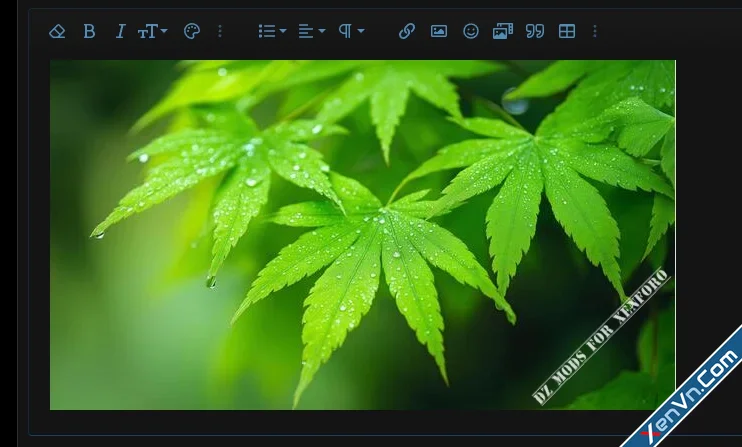 [DZ] ImageShield - Xenforo 2.webp