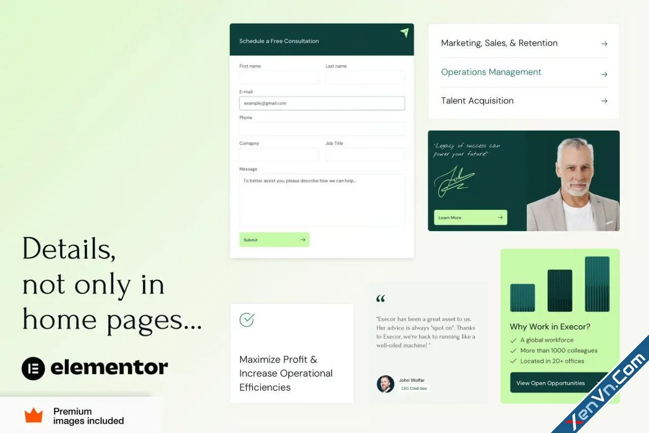 Execor - Accounting and Management Consulting WordPress Theme-1.webp