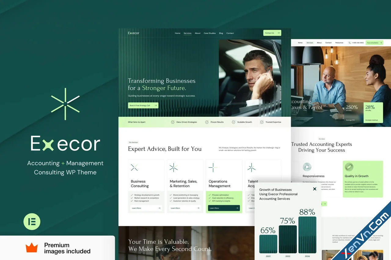 Execor - Accounting and Management Consulting WordPress Theme.webp
