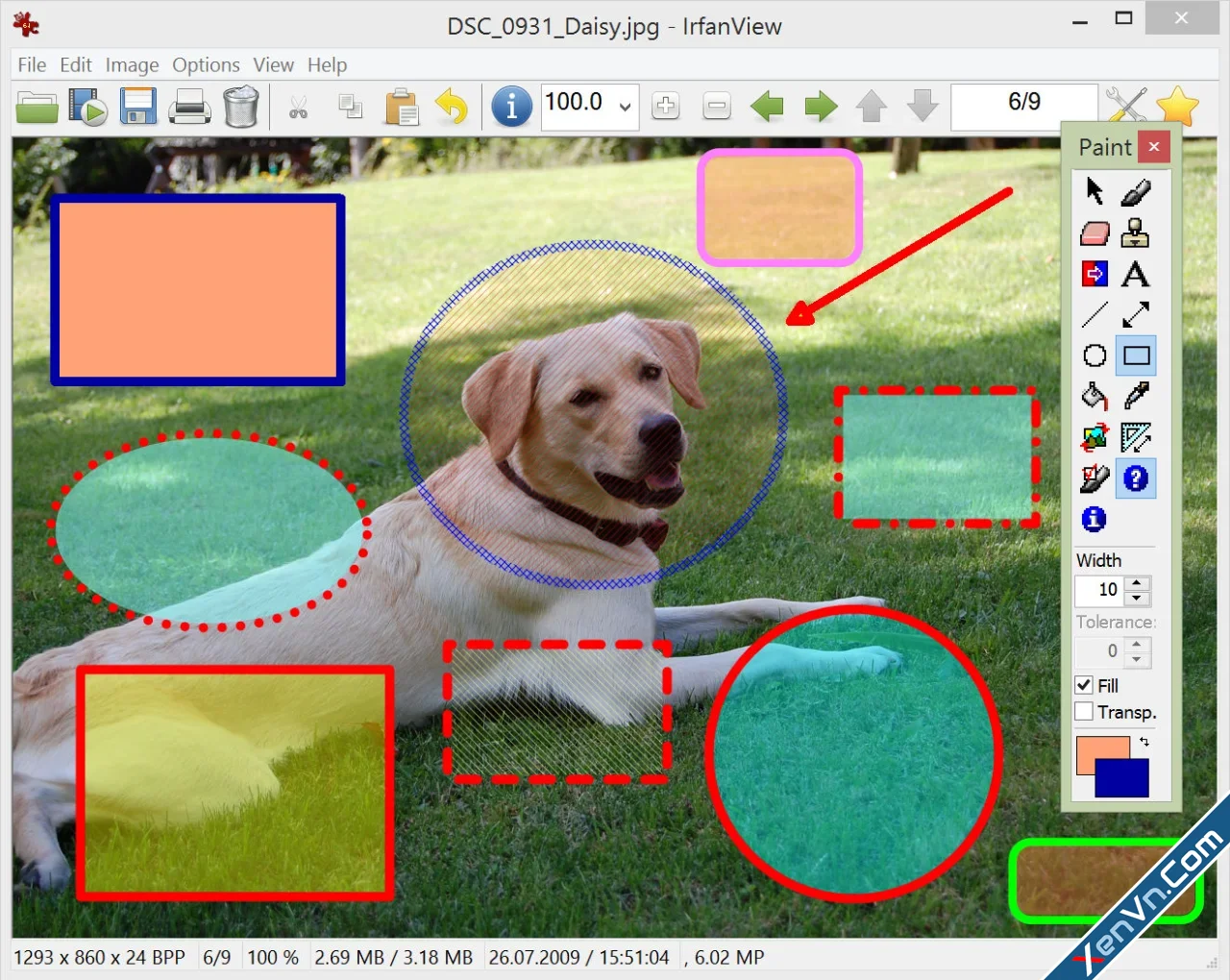 IrfanView Commercial - Windows graphic viewer-1.webp