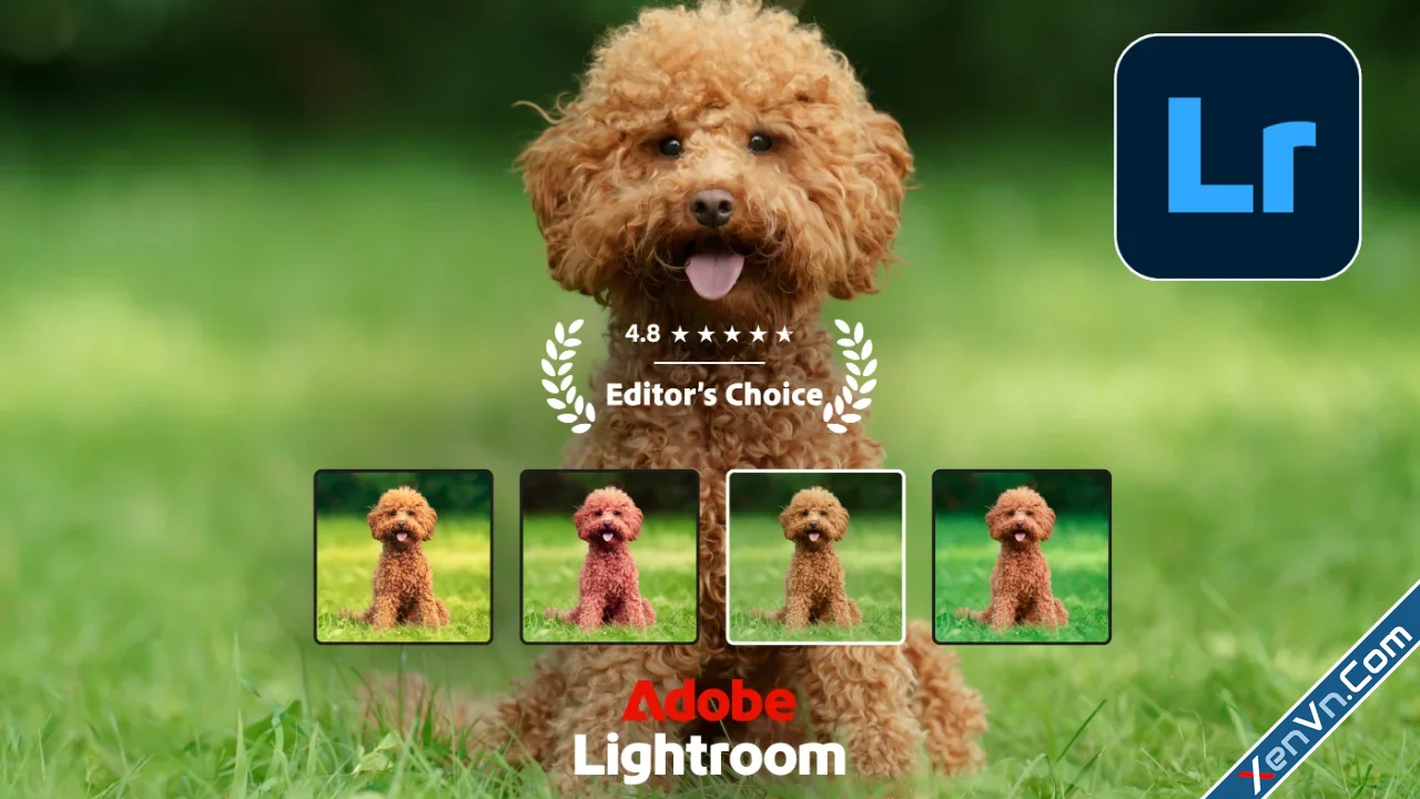 Lightroom-Photo-&-Video-Editor-for-Android.webp