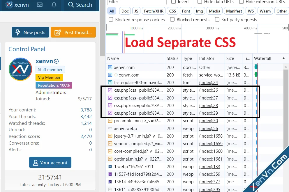 Load Separate CSS.webp