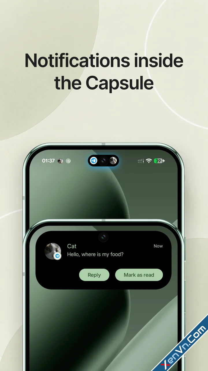 Material Capsule - Dyn Island-1.webp