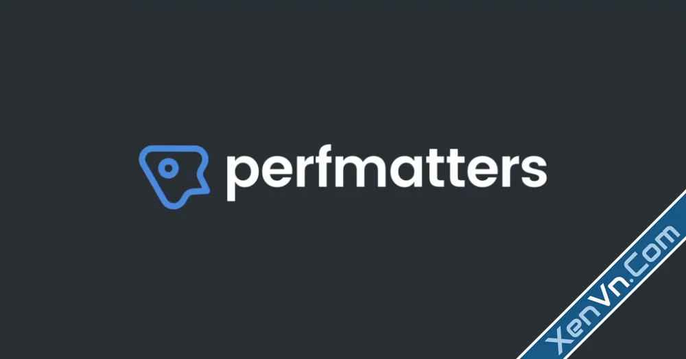 Perfmatters - Wordpress Accelerator.webp