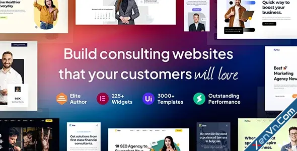 Rise - Business & Consulting WordPress Theme.webp