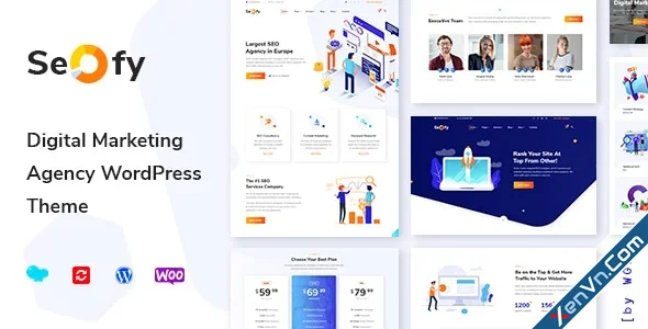 Seofy - Digital & Marketing WordPress Theme.webp
