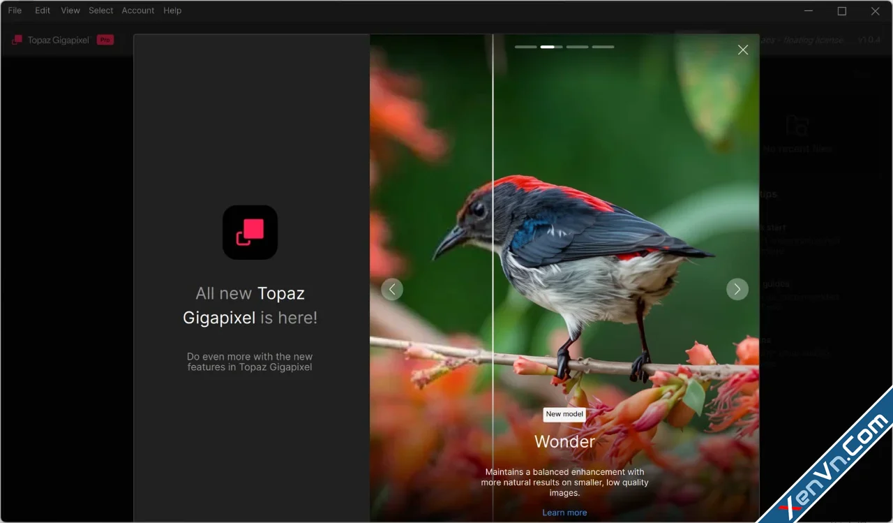 Topaz Gigapixel Pro - Image upscaling built for the studio-1.webp