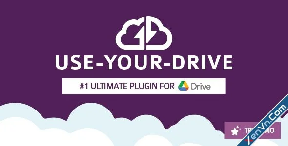 Use-your-Drive - Google Drive plugin for WordPress.webp