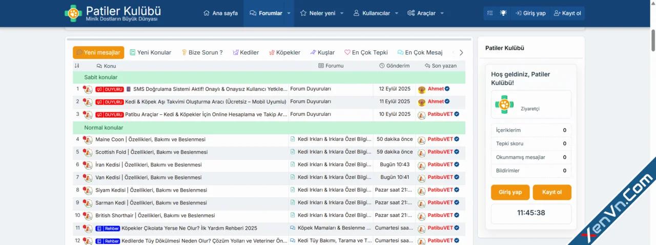 widget-2.webp