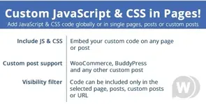 Custom JavaScript & CSS plugin in Pages v3.0 - Wordpress