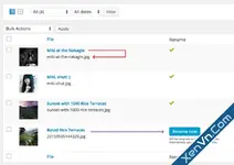 Media File Renamer Pro for WordPress