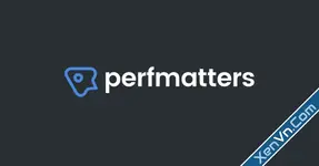 Perfmatters - Wordpress Accelerator