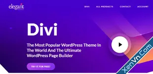 Divi Theme - Universal Template for WordPress
