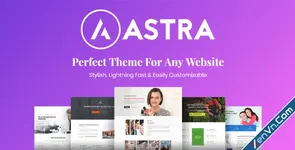 Astra Pro Addon – Perfect Theme For Any Website.webp