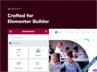 Selection - Elementor Addons Pack for WordPress