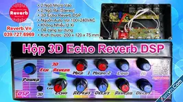 Hộp 3D Echo Reverb DSP - Reverb.Vn