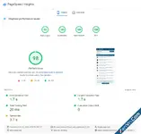 PageSpeed Insights.webp