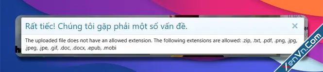 Lỗi The uploaded file does not have an allowed extension.