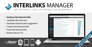 Interlinks Manager - Internal Links Optimizer for WordPress.webp