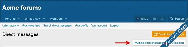 AndyB - Multiple direct messages - Xenforo 2
