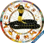 Download Kalsarpa Yoga Explorer Astrology Software