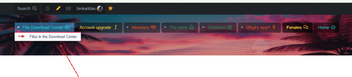 XenVn-2.4.0 issue
