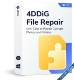 4DDiG File Repair