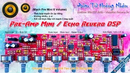 Mạch Pre Amp Mini Echo Reverb 8 Volume