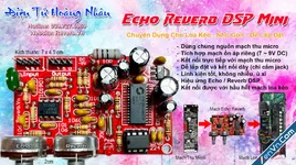 Mạch Echo Reverb Loa Kéo 2 Volume