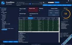 CrawlRhino SEO Crawler - Professional Desktop SEO Crawler