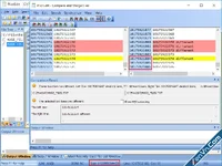 PilotEdit Pro - Edit and Compare Large Files
