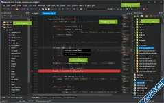 Rapid PHP editor - Lightweight PHP editor and PHP IDE