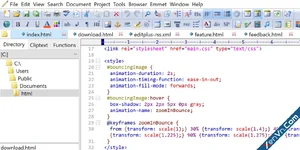 EditPlus - Text editor with FTP, FTPS and sftp capabilities