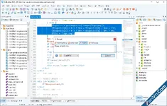Blumentals WeBuilder - Smart code editor for web developers
