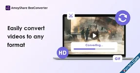 AmoyShare BeeConverter Pro - Convert Video to Any Format