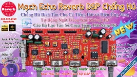 Mạch Echo Reverb DSP Chống Hú