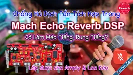 Chống Hú Dịch Tần Trong Mạch Echo Reverb DSP Có Làm Méo Tiếng, Rung Tiếng?