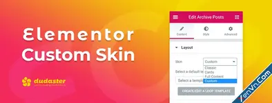 Elementor Custom Skin Pro - Wordpress